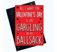 Cartoline di San Valentino Rude divertenti biglietti di auguri per lei Ballsack Profanity Cards per lei biglietto di San Valentino per fidanzato, marito, fidanzato, fidanzato, LGBTQ LGBT Regali Commedia PC789