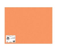 Cartoncini Colorati Dohe da 180 G/M2 - 50x65 cm - PH Neutro - Senza Cloro Elementare - Coloranti Biodegradabili NEW