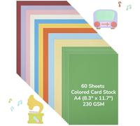 Cartoncino A4 in dieci colori, carta di carta, album di ritagli, biglietti di auguri, etichette, 21,1 x 29,7 cm, sessanta fogli di carta colorata da 230 g