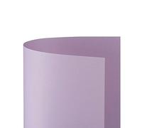 CARTONCINO BRISTOL 50X70 PZ.25 LISCIO LILLA 6