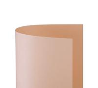 CARTONCINO BRISTOL 70X100 PZ.10 LISCIO SALMONE 05