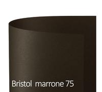 Cartoncino Bristol Color - 50 x 70 cm - 200 gr - marrone 75 - Favini