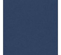 Cartoncino Colorato Colorline Canson - 70x100 cm - 220 g - 200041210 (Blu Oltrem