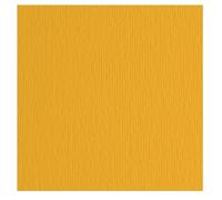 Fabriano Confezione 10 Cartoncini LR Avana 70x100cm 46470103