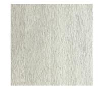 Fabriano Confezione 10 Cartoncini LR Brina 70x100cm 46470129
