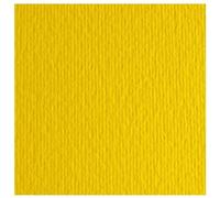 FABRIANO - 46470125 - Cartoncino Elle Erre - 70x100cm - 220gr - cedro 125 - Fabriano - blister 10 fogli - 61132 - Conf. da 1 Pz. - 46470125