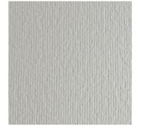 FABRIANO - 46470102 - Cartoncino Elle Erre - 70x100cm - 220gr - perla 102 - Fabriano - blister 10 fogli - 40196 - Conf. da 1 Pz. - 46470102