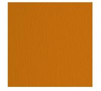 Fabriano Confezione 10 Cartoncini LR Terra Bruciata 70x100cm 46470119