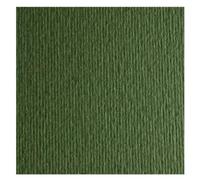 FABRIANO - 46470128 - Cartoncino Elle Erre - 70x100cm - 220gr - verdone 128 - Fabriano - blister 10 fogli - 59720 - Conf. da 1 Pz. - 46470128