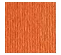 Cartoncino Fabriano Elle Erre 5070 20 ff Aragosta