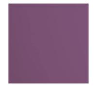Cartoncino Florence Liscia - Materiali per Biglietti colorati 30,5 x 30,5 cm - Clematis - 20 Fogli - Carta per Scrapbooking, Biglietti, Fustellatura e Progetti con Carta - 216 gsm - Viola