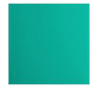 Cartoncino Florence Liscia - Materiali per Biglietti colorati 30,5 x 30,5 cm - Spa - 20 Fogli - Carta per Scrapbooking, Biglietti, Fustellatura e Progetti con Carta - 216 gsm - Verde