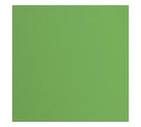 Cartoncino Florence Testurizzata - Materiali per Biglietti colorati 30,5 x 30,5 cm - Moss - 20 Fogli - Carta per Scrapbooking, Biglietti, Fustellatura e Progetti con Carta - 216 gsm - Verde