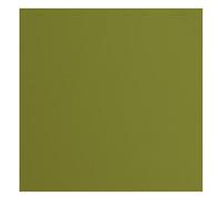 Cartoncino Florence Testurizzata - Materiali per Biglietti colorati 30,5 x 30,5 cm - Olive - 20 Fogli - Carta per Scrapbooking, Biglietti, Fustellatura e Progetti con Carta - 216 gsm - Verde