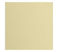 vaessen creative Florence-Cartoncino Testurizzato, 216 Grammi, 30,5 x 30,5 cm, 20 Fogli, per Scrapbooking, creazione di Biglietti, fustellatura e Altri lavori con la Carta, Beige, 30.5x30.5cm