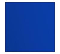 Cartoncino Florence Testurizzata - Materiali per Biglietti colorati 30,5 x 30,5 cm - Sapphire - 20 Fogli - Carta per Scrapbooking, Biglietti, Fustellatura e Progetti con Carta - 216 gsm - Blu