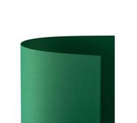 Cartoncino Prisma 220 Favini - 70x100 cm - Verde - A33D0A1 (conf.10)