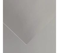 Cartoncino Vivaldi Canson 280 g/m² - 50 Fogli A3 Argento