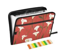 Cartone animato Calla Lily Red Hanging File espandibile 13 tasche formato A4 Lettera con chiusura a cerniera per archiviazione documenti Espansione File para guardar