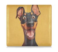 Cartone animato divertente Doberman Pinscher Dog marrone in pelle PU registrazione e assicurazione auto titolare scatola portaoggetti organizer per ID patente di guida, chiavi informazioni di contatto