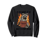 Cartone Animato retrò Trash Panda Dumpster Fire Raccoon Felpa