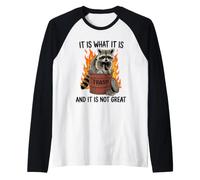 Cartone Animato retrò Trash Panda Dumpster Fire Raccoon Maglia con Maniche Raglan