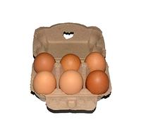 Cartone per uova da 6 uova - Confezione da 5/10/20 pezzi, cartone biodegradabile in polpa riciclata, grande cartone vuoto per 6 uova fresche, adatto per cucina, fattoria, negozio di alimentari come