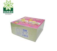 Cartone filtrante Rover 20x20 cm V 00 strato filtrante per elettropompe 18 pezzi