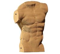 CARTONIC - Torso maschile - Costruttore in cartone 3D - Modello dimensionale - Regalo per adulti e bambini - Figura artistica - Set Puzzle