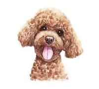 Cartoon Animals Children Temporary Tattoo Sticker Small Waterproof Fake Body Art Tattoos Cute Dog Cat(005)