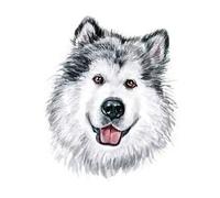 Cartoon Animals Children Temporary Tattoo Sticker Small Waterproof Fake Body Art Tattoos Cute Dog Cat(008)