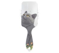 Cartoon British Shorthair Cats spazzola antistatica per capelli lunghi Progettato massaggiatore testa per asciugatura con manico ergonomico cepillo para pelo rizado