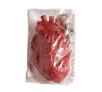 CARTOON Decorazioni spaventose Accessorio per Feste a Tema Halloween Parti umane insanguinate Horror (Cuore anatomico)