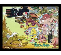Cartoon Network Rick And Morty (Creature Barrage) 30 x 40 cm Oggetto ricordo