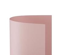 Conf. 25 Cartoncino Bristol Color 200 gr 50x70 cm ROSA 10 FAVINI