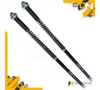 Cartucce forcelle Andreani Misano EVO BMW R Sachs ⌀46 USD 105/W09E
