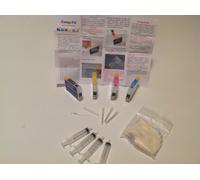 CARTUCCE RICARICABILI AUTORESET PIENE PER EPSON STAMPANTI SX600W