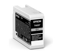 Epson UltraChrome Pro cartuccia d'inchiostro 1 pz Originale Grigio