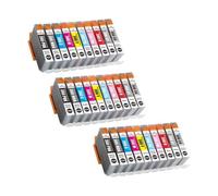 Cartuccia D'inchiostro PFI-300 Compatibile Con Canon ImagePROGRAF PRO-300 | Inchiostro Pigmentato Compatibile, PFI-300, Set Da 10 Colori, 14,4 Ml Ciascuno, Con Chip, Adatto A PRO-300(3Set)