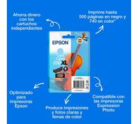 Cartuccia Epson 250XL cyan chiaro per foto