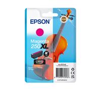 Cartuccia EPSON C13T16P34020 - di inchiostro High Yield Magenta