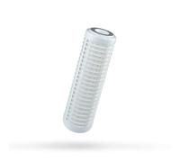 CARTUCCIA FILTRANTE RL 10 SX 50 mcr RA5015114