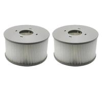 Cartuccia filtro compatibile for piscina idromassaggio MSPA Spa | For MSPA, for tutte le attuali piscine termali, cartuccia filtrante for vasca idromassaggio(2pcs)