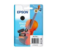 Cartuccia stampante Epson 250 (C13T16N14010) - Nero