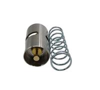 Cartuccia Valvola Termostatica 2901007400 Sostituzione Originale