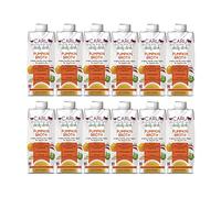 Caru Brodo giornaliero per cani e gatti, zucca, confezione da 12