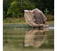 Caruba Coperta rete Mimetica 4x1,5 metri per caccia fotografica Marrone Canne