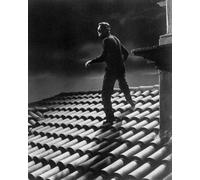 Cary Grant Per Catturare Un Ladro Poster Stampa 24x20"