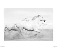 Carys Jones Arte Stampe, Multicolore, 60 x 80 cm