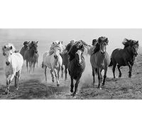 Carys Jones Canvas Wall Art, Multicolore, 50 x 100 x 3.2 cm